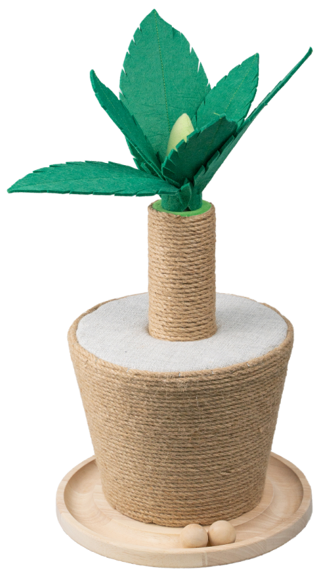 Les plantes en pot façonnent le gratteur de chat